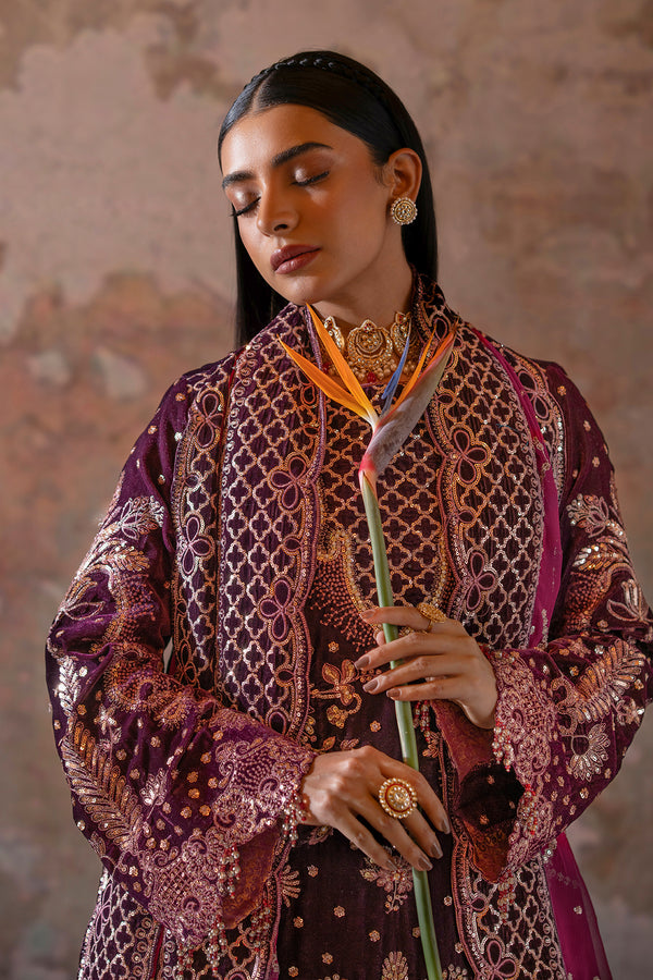 Emaan Adeel | Saanjh Velvet Collection 24 | Anika